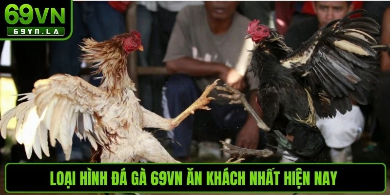 Loại hình đá gà 69VN ăn khách nhất hiện nay bạn không nên bỏ qua 