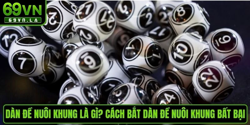 Các hình thức dàn đề nuôi khung phổ biến 2026 hiện nay